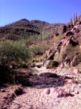 Camino de Oesta trail