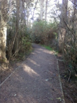 Old trail made new at end of block Ocean Drive Mckinleyville Nov 7 2012